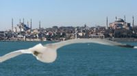 Istanbul Kanatlarmn stnde - Fotoraf: Burak arkoglu fotoraflar fotoraf galerisi. 