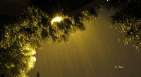 Gece Yağmur - Fotoğraf: Sencer Tümer fotoğrafları fotoğraf galerisi. 
