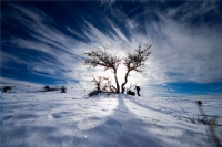 So�uk Yaksa Da ��imizdeki S�cakl���.....