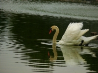 zmir Doal Yaam Park