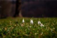 T�m Yery�z�ne Yay�lan.....