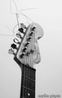 Fender - Fotoraf: Sekin Girgin fotoraflar fotoraf galerisi. 
