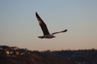 Beykoz’ Da Bi Mart�