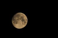 Ay’daki Fransz Lejyner - Fotoraf: Cihangir Erenolu fotoraflar fotoraf galerisi. 