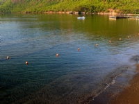 Deniz