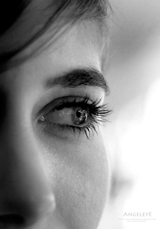 Angeleye