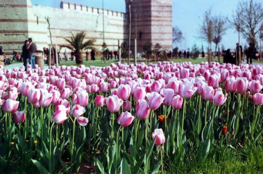 ilk bahar kalntlar & lale devri