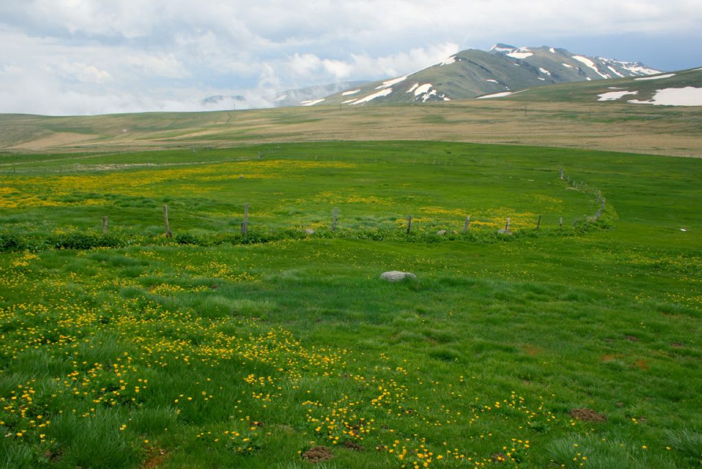 Karadeniz Yaylalar