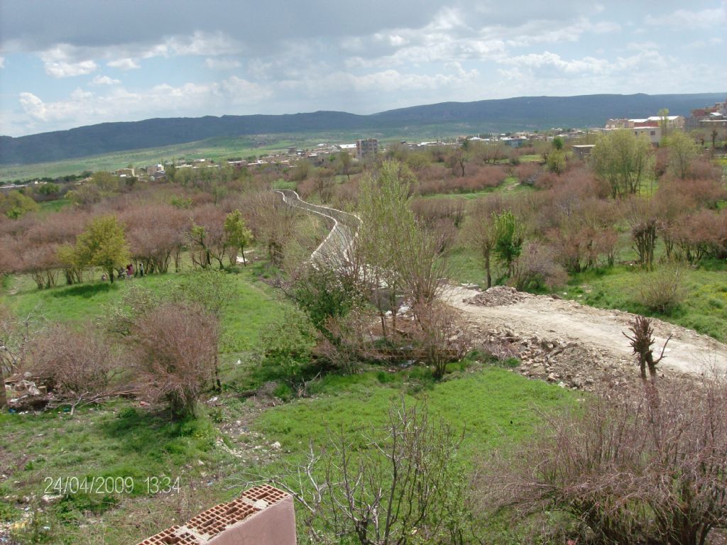 Dicle Piran elebi mahallesi baheleri 1