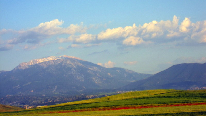 Denizli ovas