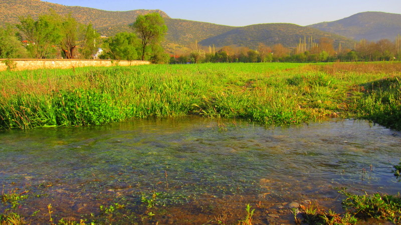 Baharda Dodurga ovas