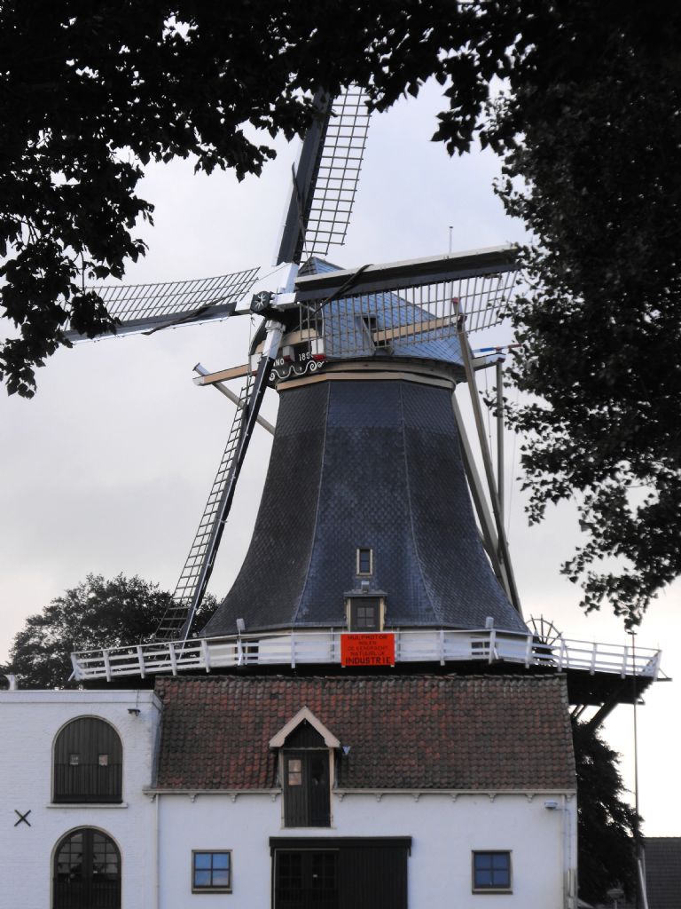 Degirmen (Alpen aan de rijn)