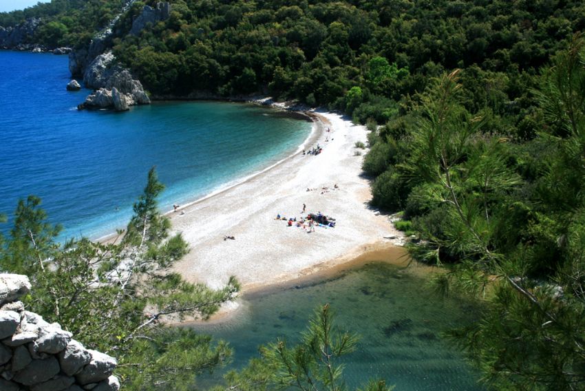 OLYMPOS KOYU-2