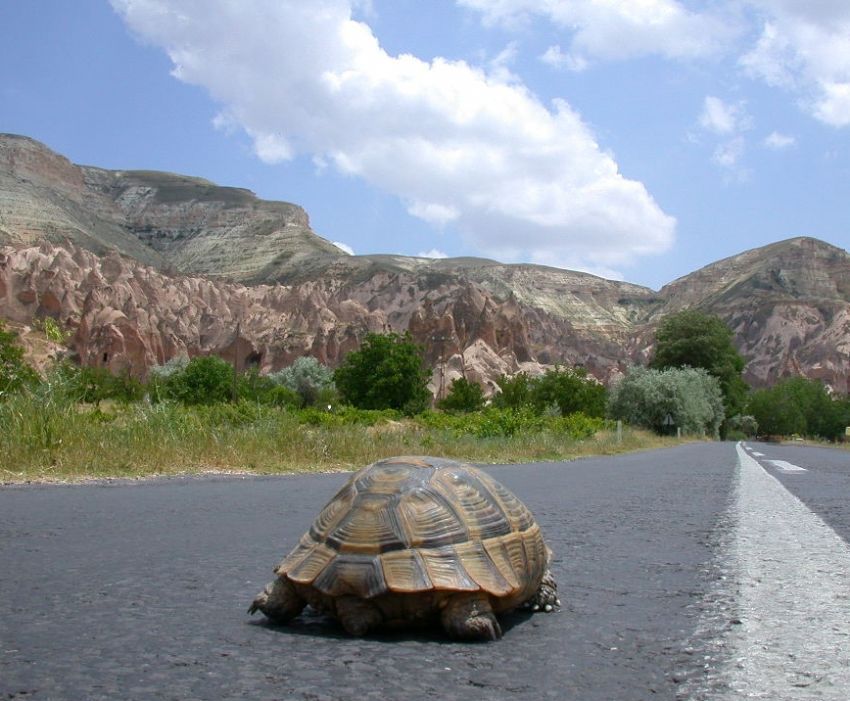 Uzun bir yol