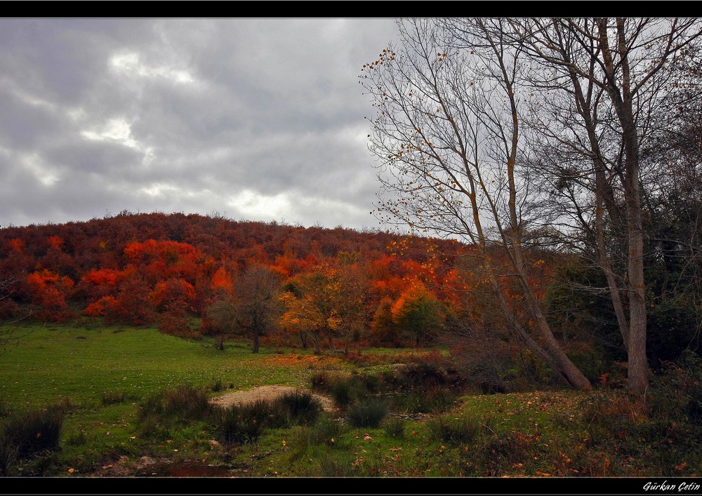 Sonbahar Danamandra...