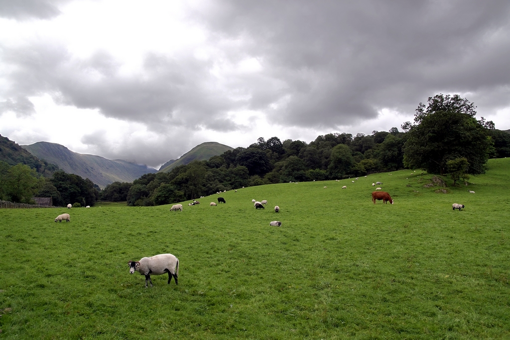 Lake District