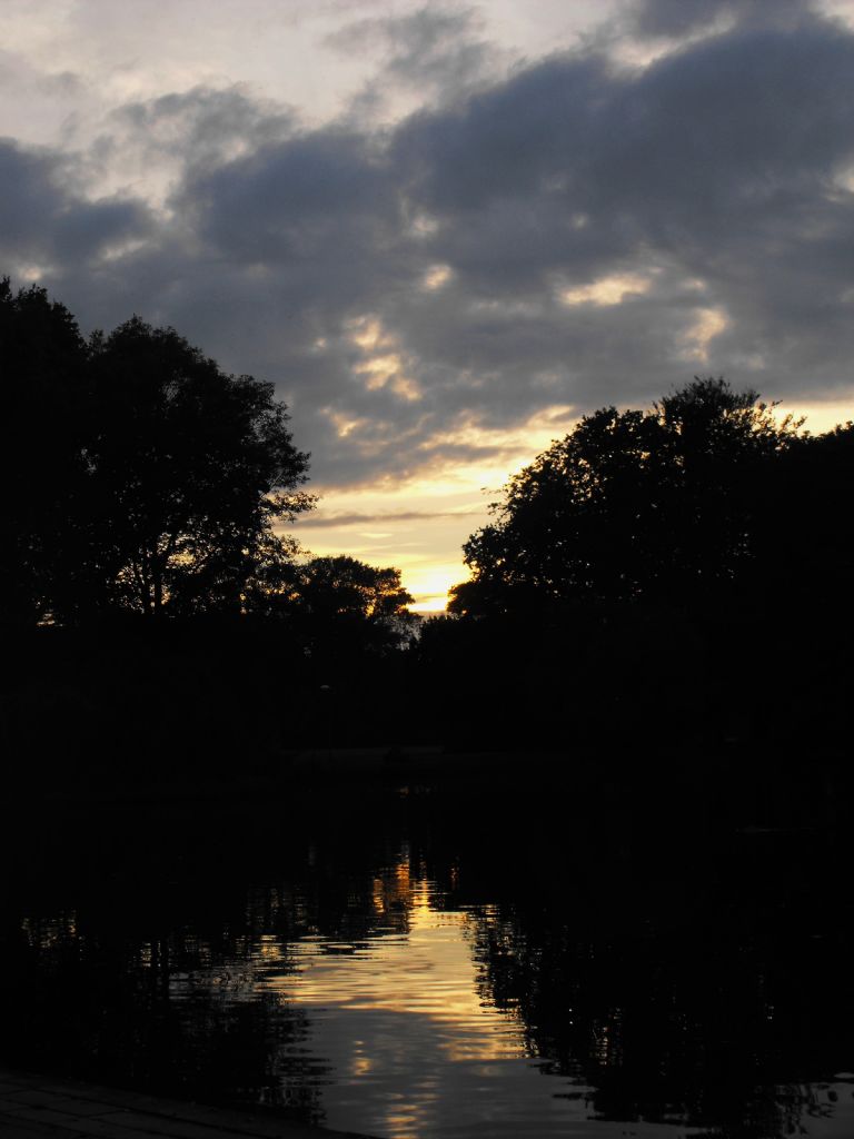 Zuiderpark (den haag)