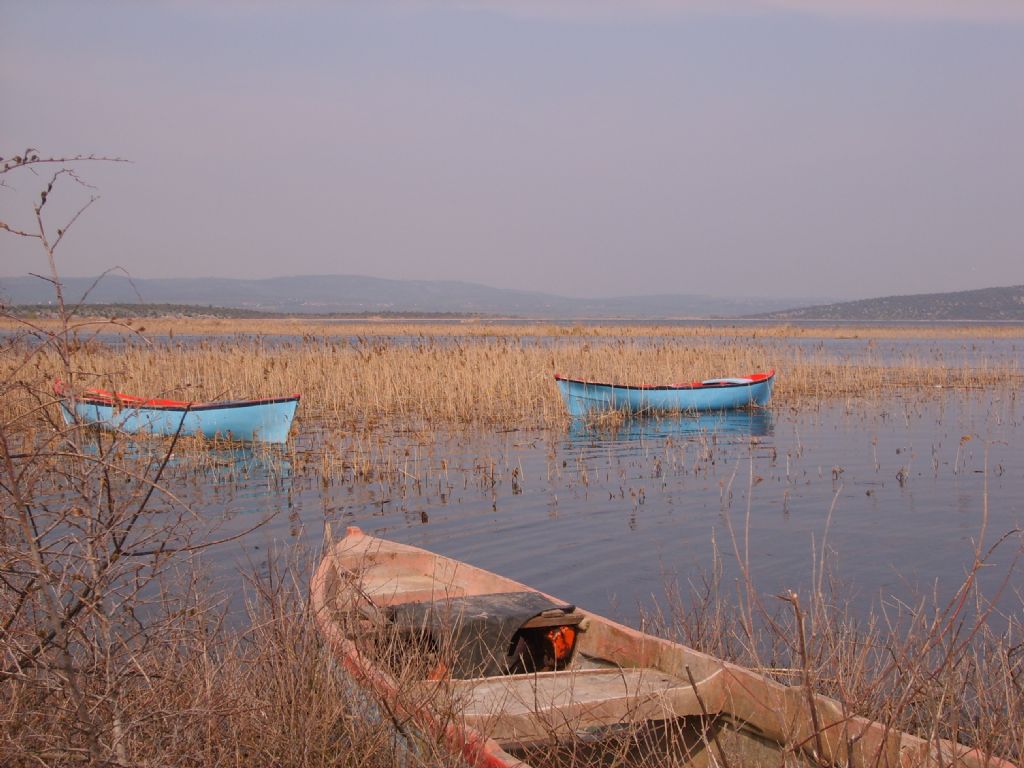 HUZUR