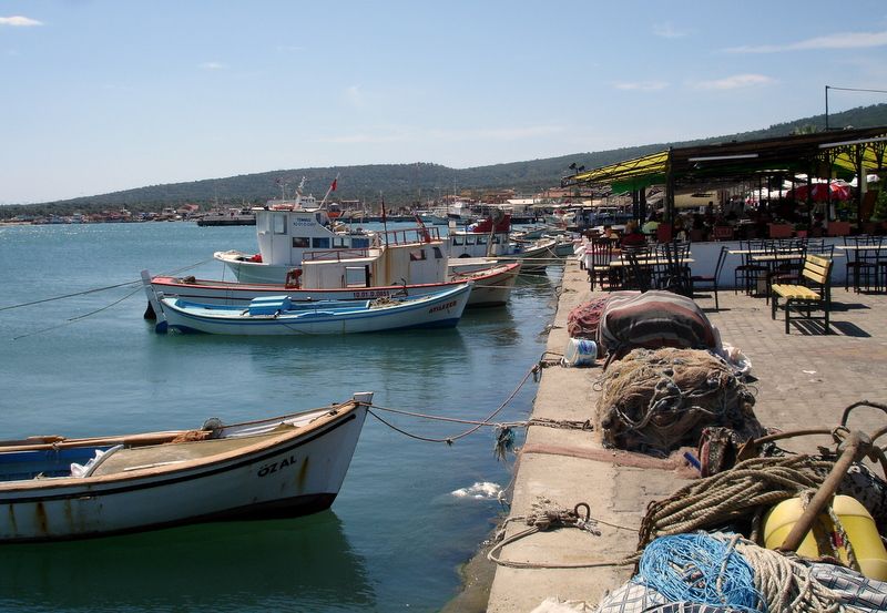 Cunda Sahilinde Balklar