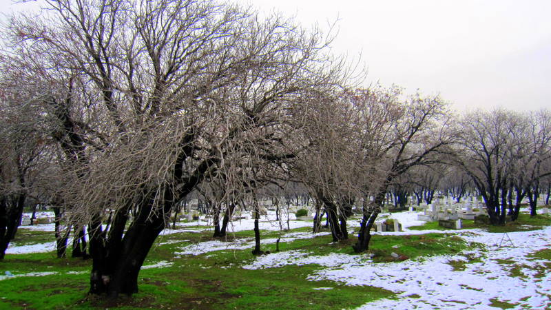 Denizli lbade mahallesinde k