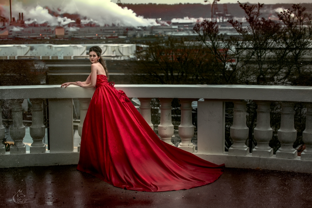 Ladies in red перевод. (Lady in Red) Ирина Кирсанова. Lady in Red Singer. Девушка красное платье окно собака. Lady in Red Марриотт.