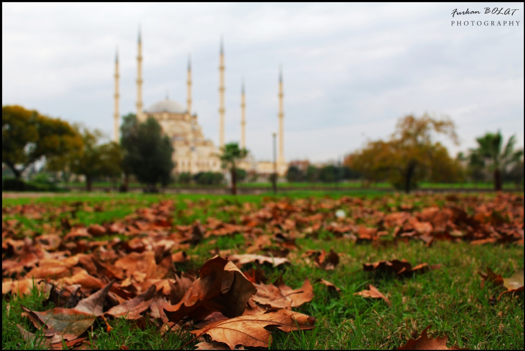 Adana'da Sonbahar . . .