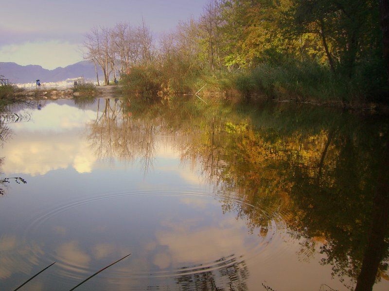 marmaris-gnlk ormanlar