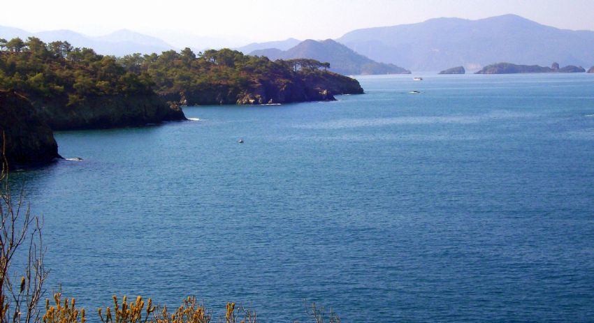 KOYLARIN BULUMASI...