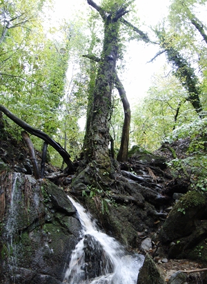 panoramik kazdalar