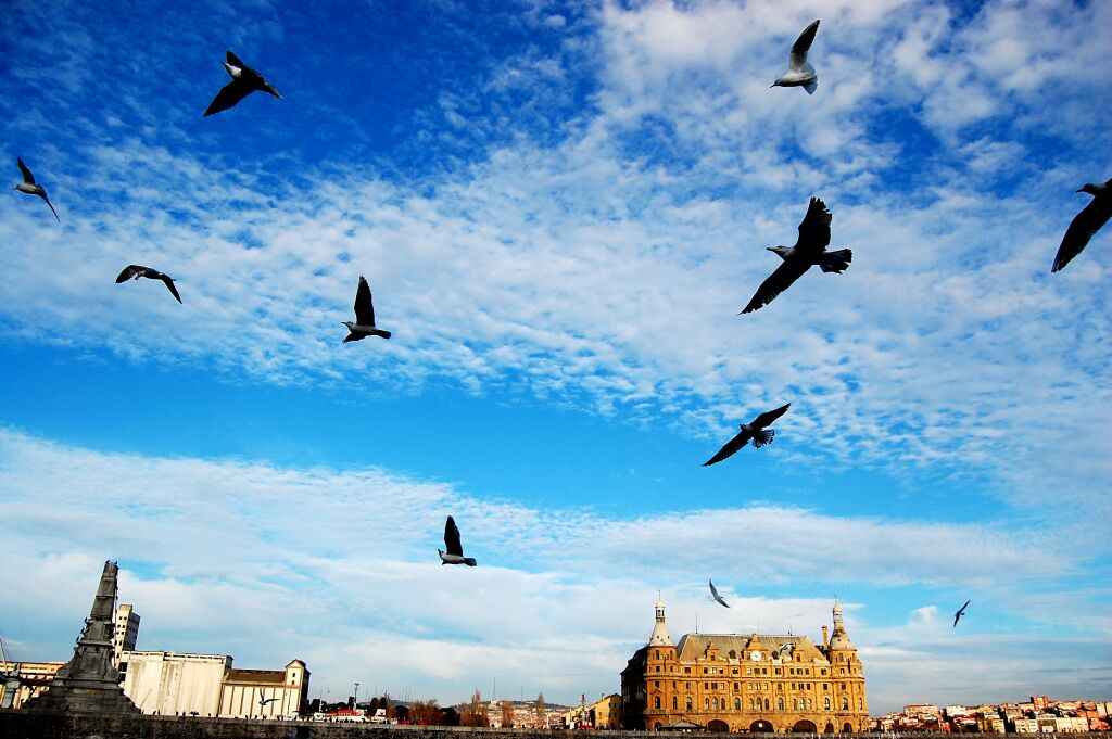 haydarpasa