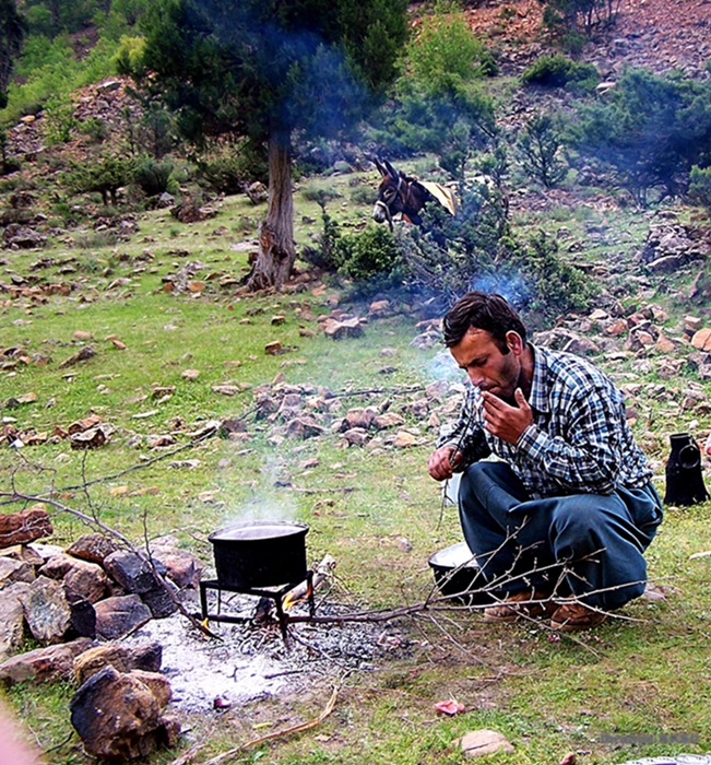 Yayla gnl