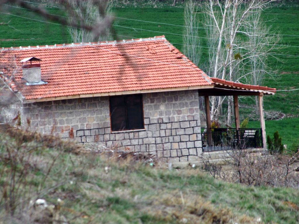 ba evi