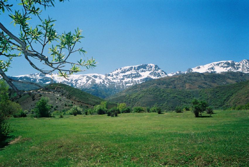 dersim dalar