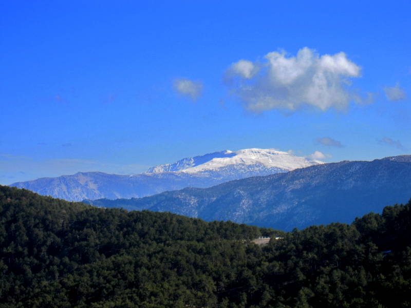 Doadan bir kare, Denizli