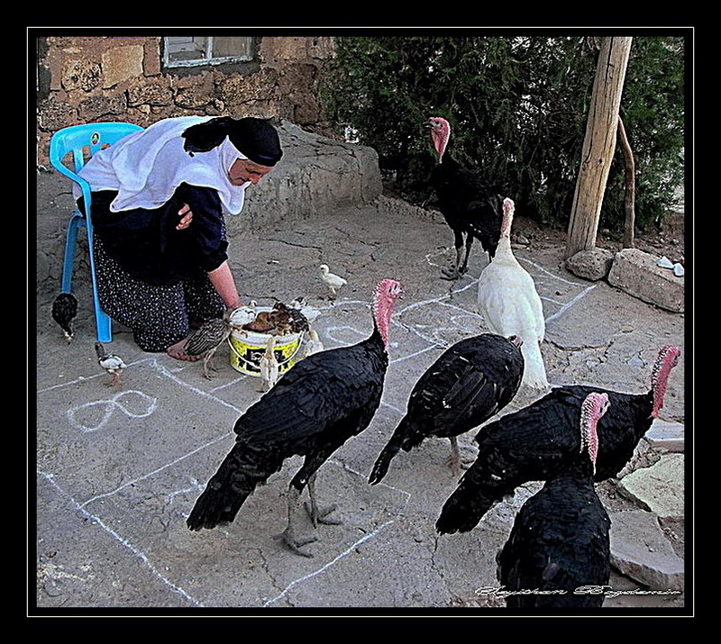 Mardin yaamdan  