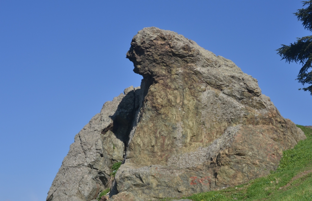 N�OBE (Anne Ac�s�n�n Ta�a D�n��m�� Hali)