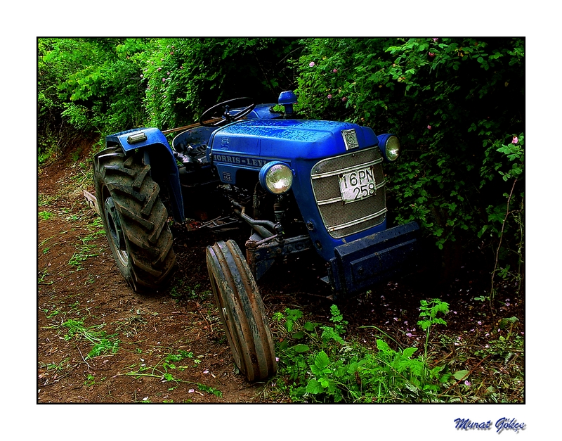 L E Y L A N D   154  V