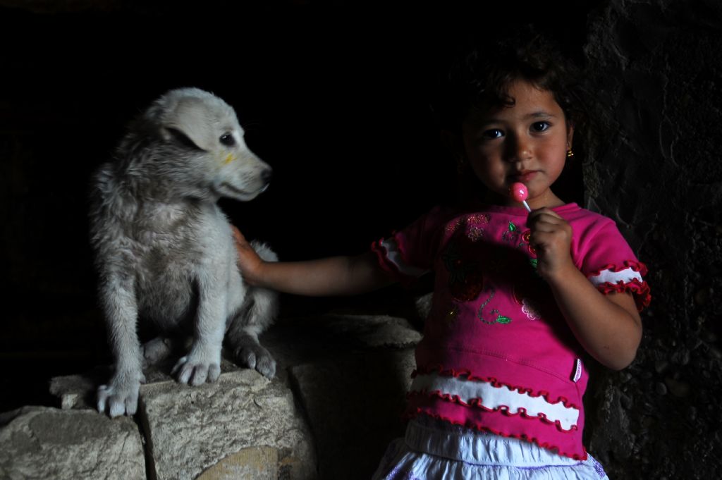 Lolilop ve can dostu...