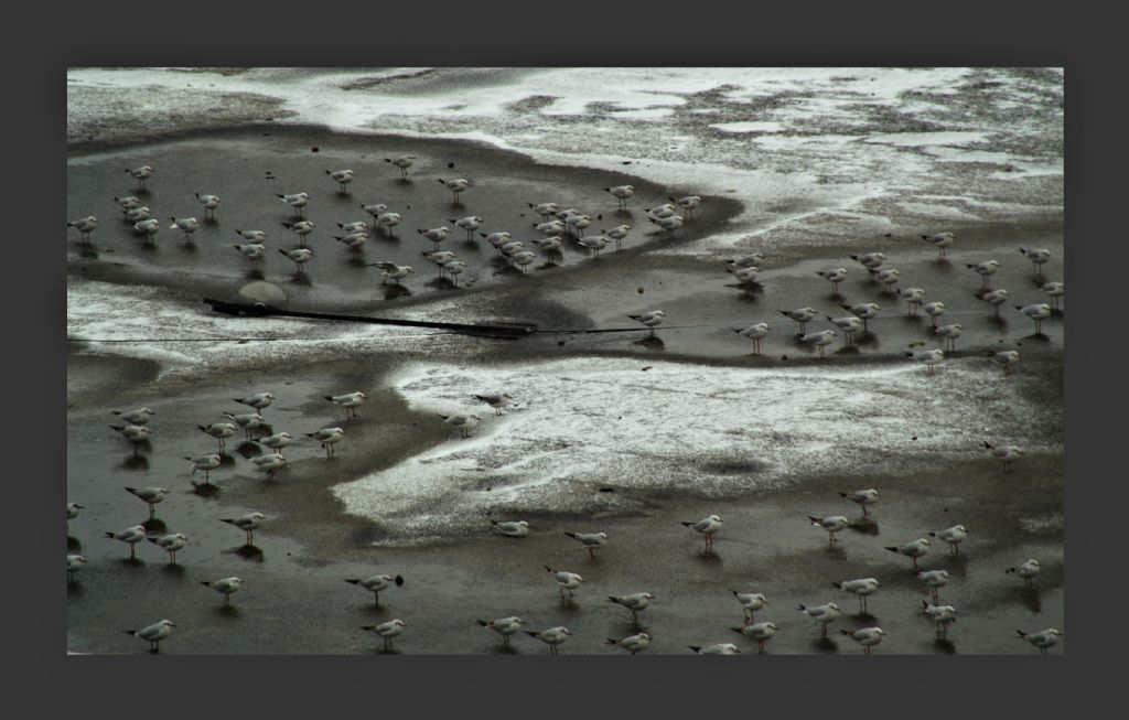 mart�lar�n sessizli�i