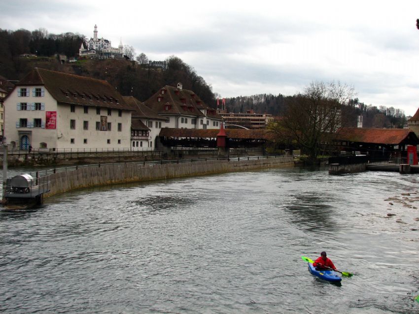 Luzerne