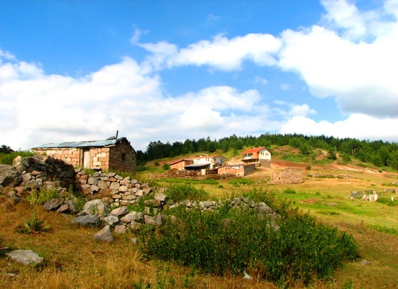 Yayla evleri