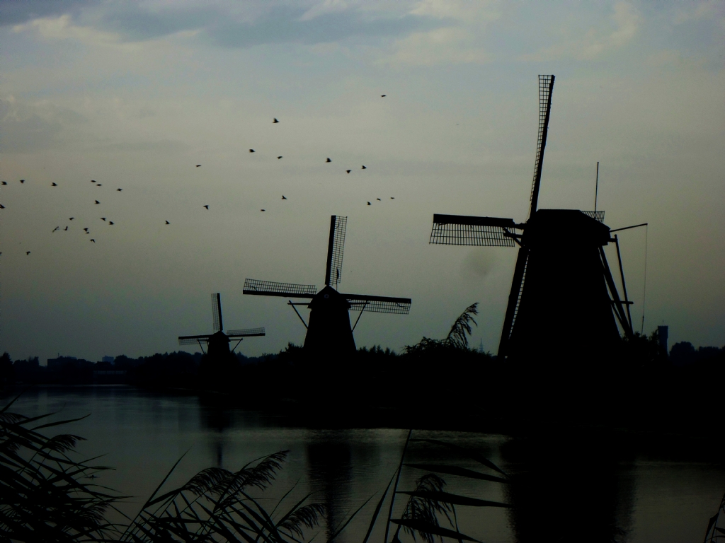 Kinderdijk