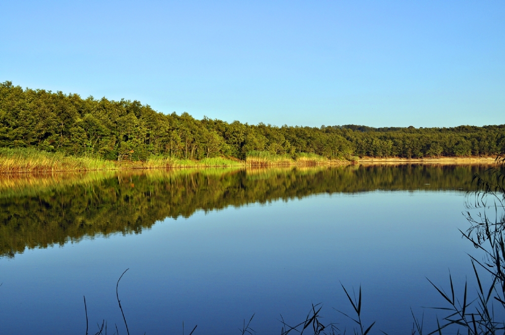 golden lake