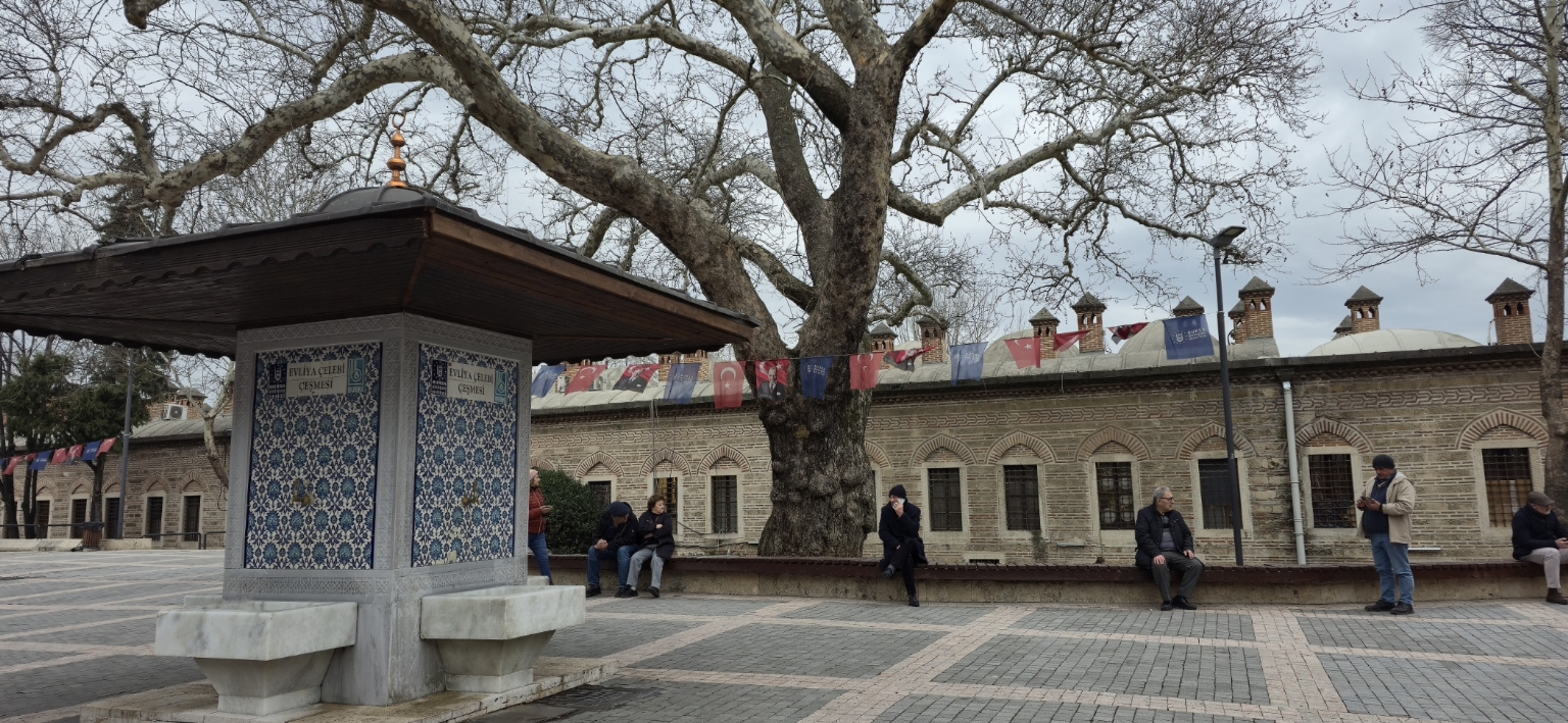 KASVETL� B�R HAVA