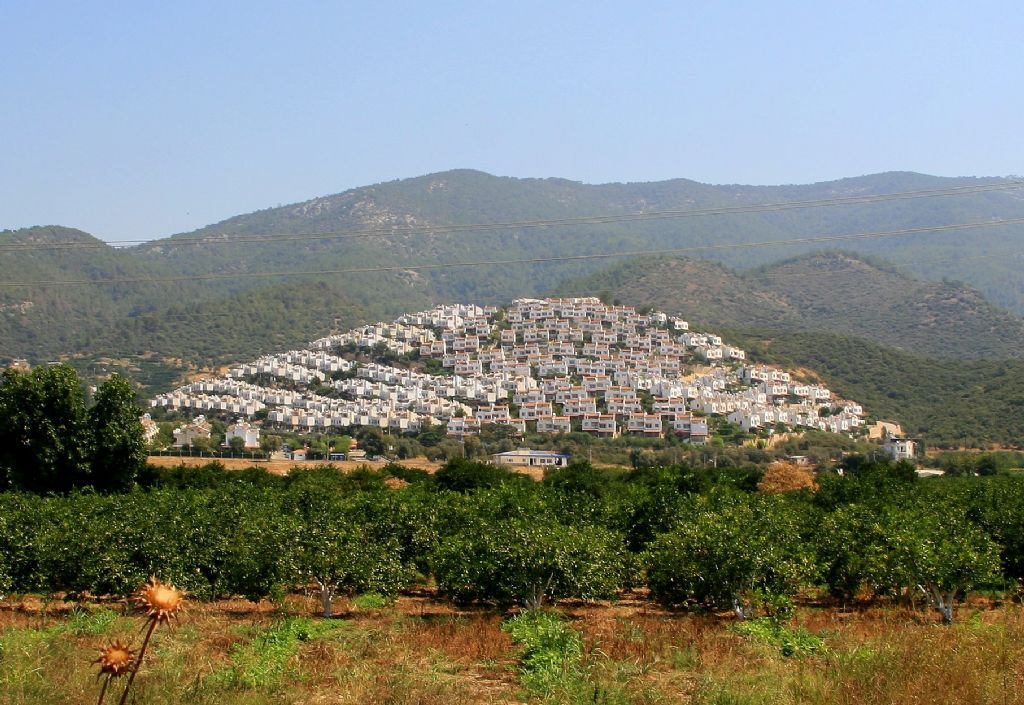 Tepeciin bana gelenler...