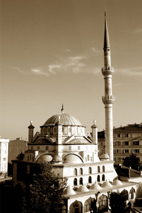 TEKIRDAG ALTIN OVA  2. camii