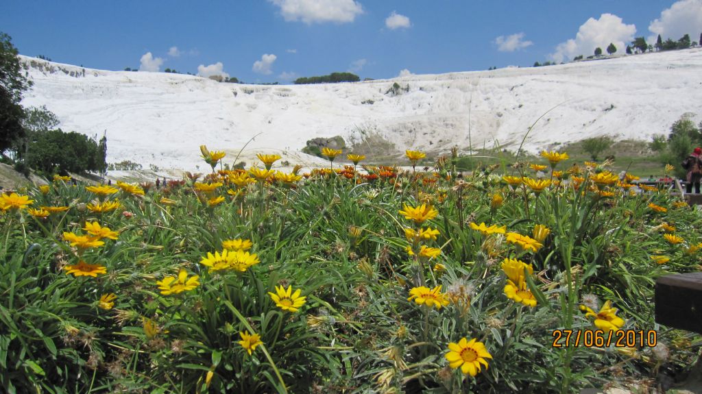 Pamukkale ve iekler