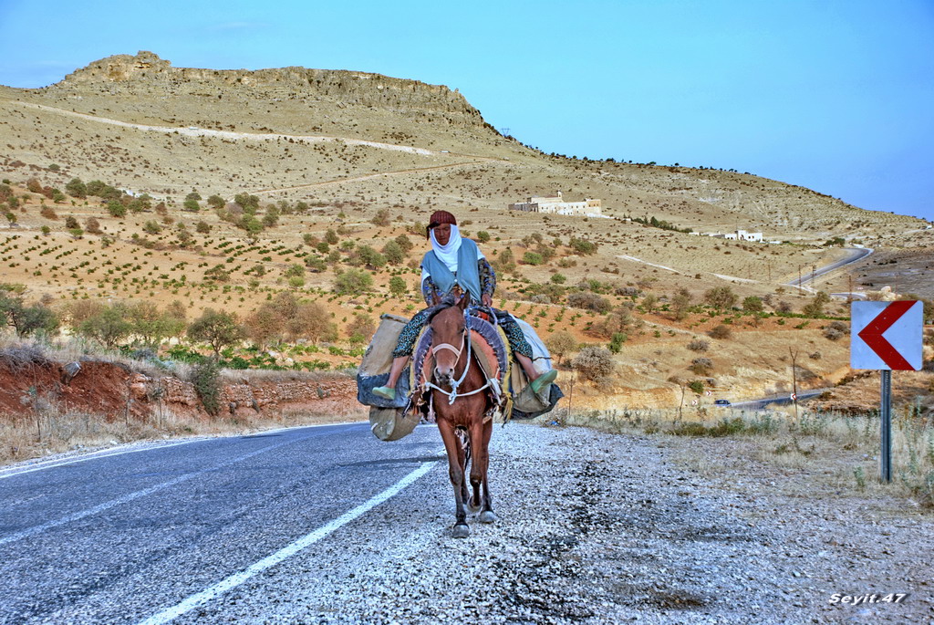 Mardin