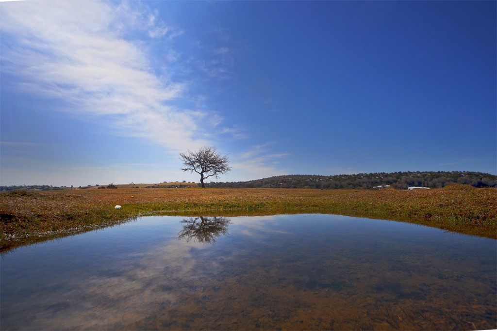 Yine yeniden yeni bir bahar....