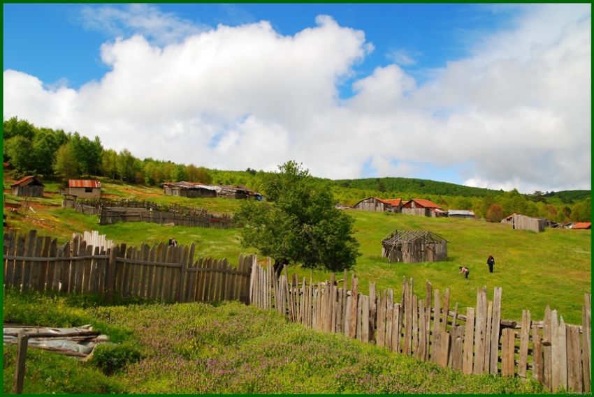 YAYLA